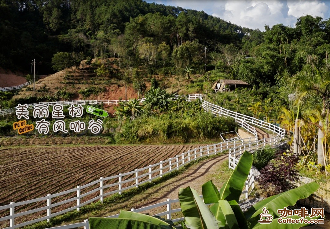 小山村爆改咖啡社区,这波操作绝了!